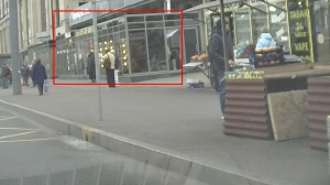 ИИ наказал петербургского бизнесмена на 50 тысяч рублей за ларьки на Коломяжском