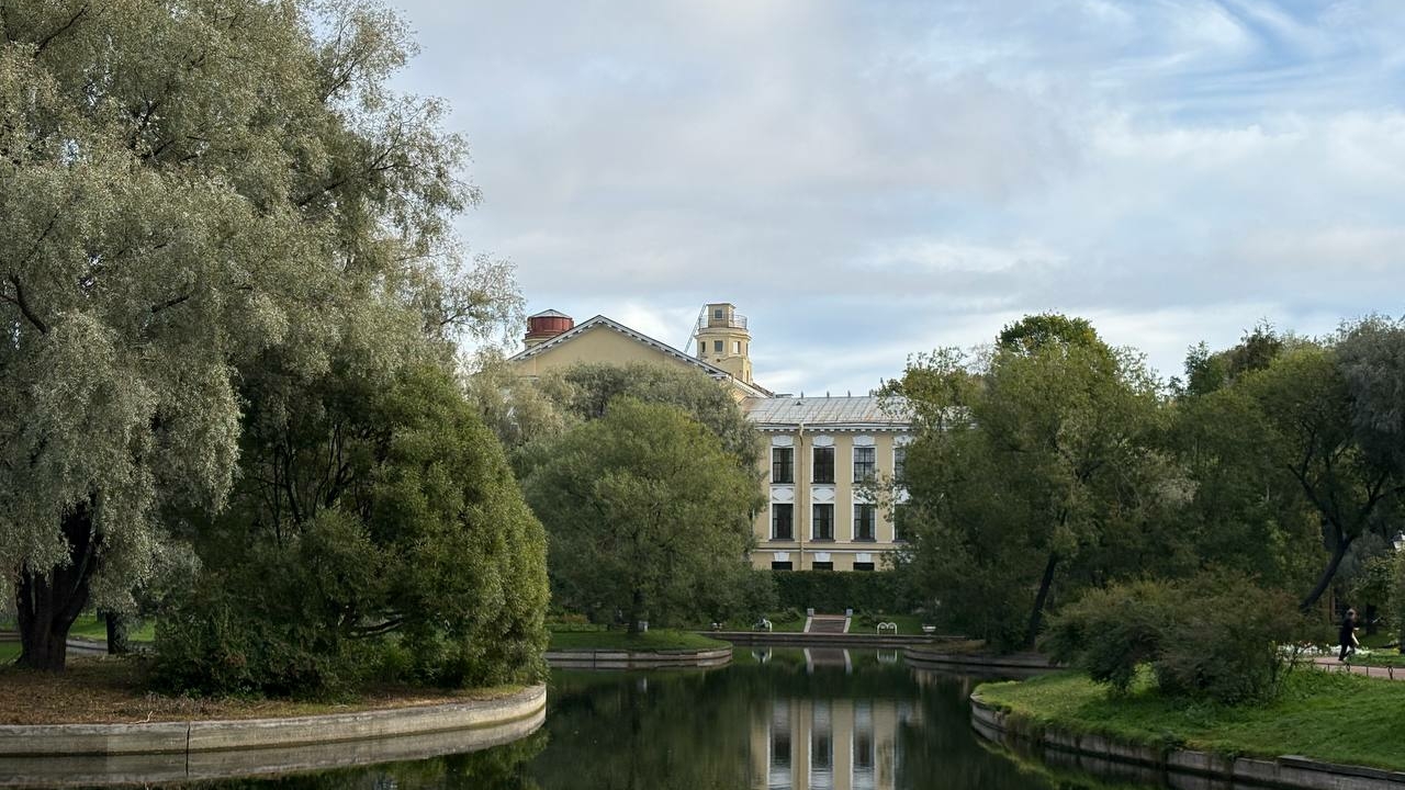 Подвесные тротуары и USB-зарядки в парках: эксперты обсудили будущее благоустройство Петербурга