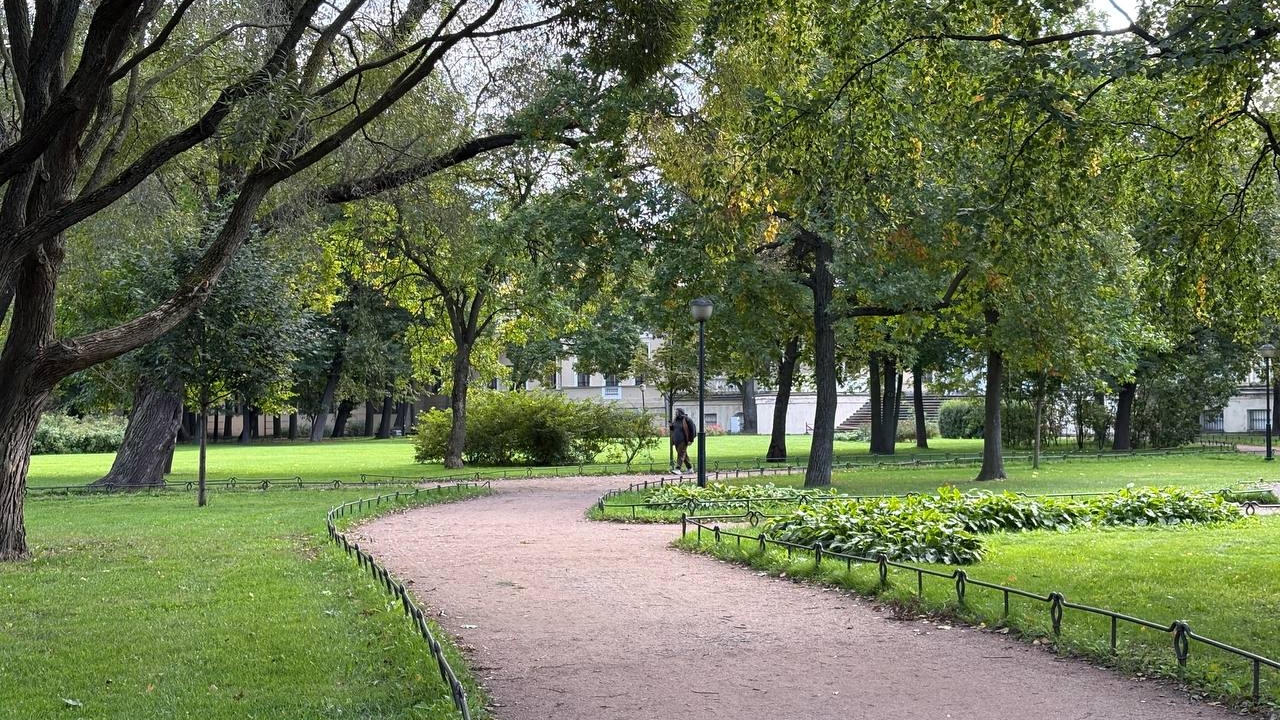 Зеленые насаждения севера Петербурга изучат эксперты для экопаспорта