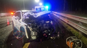 Спасатели достали из смятого кроссовера двух пострадавших после ДТП на трассе в Ленобласти