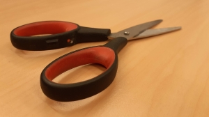 Неудавшийся Отелло из Ленобласти отправился в колонию за угрозы экс-возлюбленной: в суде он твердил о любви