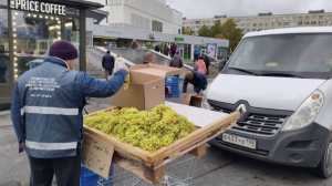 Изъято две сотни кило плодов: в Петербурге прошел рейд по избавлению от незаконных ларьков с фруктами