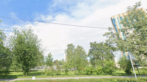Петербурженка отделалась двухнедельным арестом за пьяные и нацистские выкрики возле сквера имени Цоя