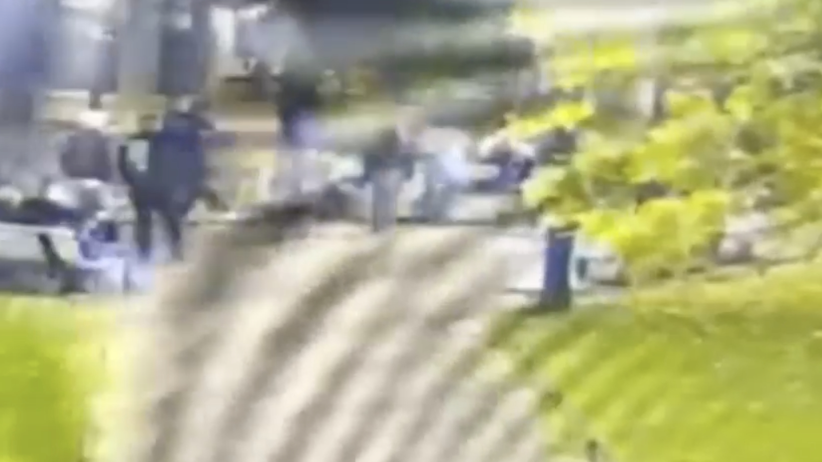 В саду «Сан-Галли» вновь размахивали кулаками: видео