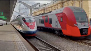 Зацепер хотел доехать из Петербурга в Москву на крыше «Сапсана»: видео