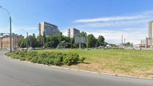 Петербургские водители незнанием ПДД угробят почти 2 тысячи деревьев на северо-востоке города