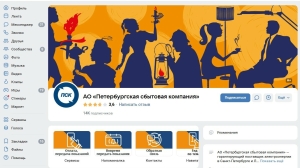 За раскрутку в соцсети «Петербургская сбытовая компания» заплатит более 2 млн