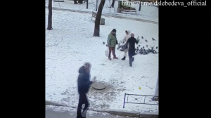 Схватка голубиной кормилицы и коренной петербурженки закончилась в суде