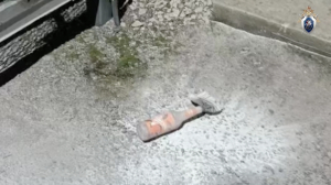 Послушалась мошенников: тру-крайм блогерша назвала причину попытки теракта в Купчино