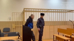 На двух этажах и в лифте: поджигателя покрышек в Петергофе арестовали