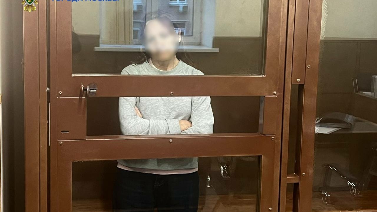 Толкнувшую школьницу на пути московского метро пенсионерку арестовали: видео