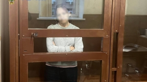 Толкнувшую школьницу на пути московского метро пенсионерку арестовали: видео