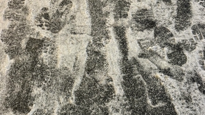 Водителей Петербурга предупредили об опасности катания на летней резине 18 ноября