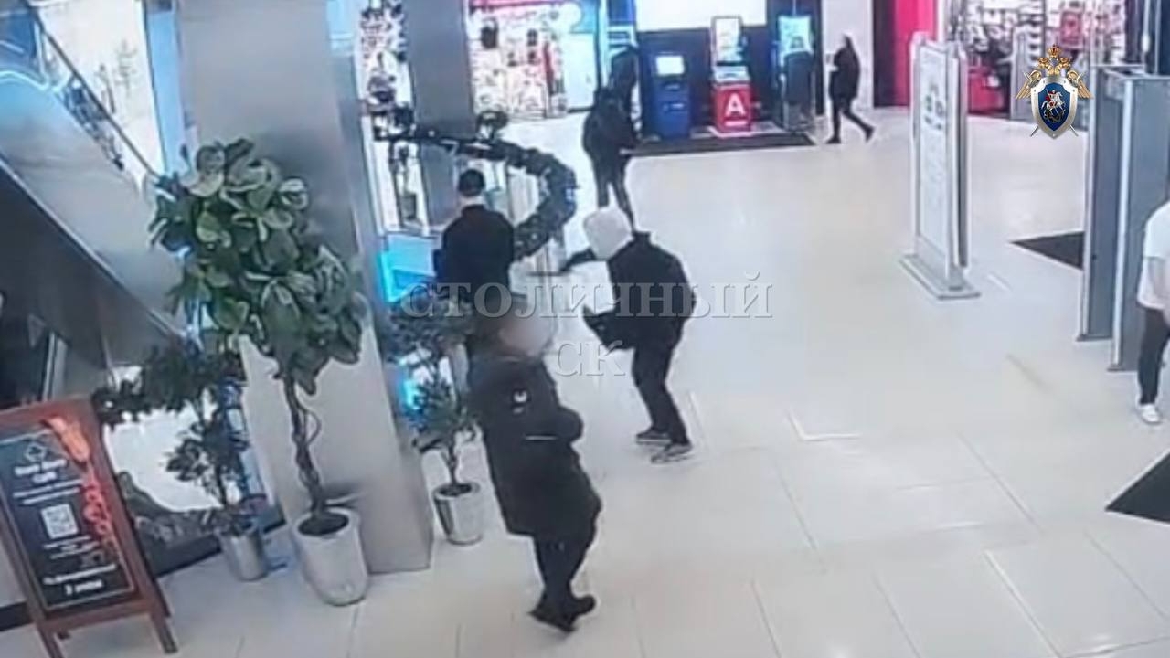 Появилось видео нападения подростка с ножом на охранника и полицию в ТЦ Москвы