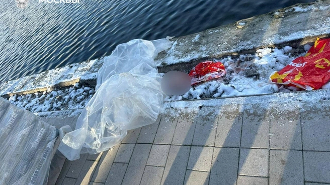 Голова в пруду, тело на балконе: что известно о жестоком убийстве 6-летнего ребенка в Балашихе