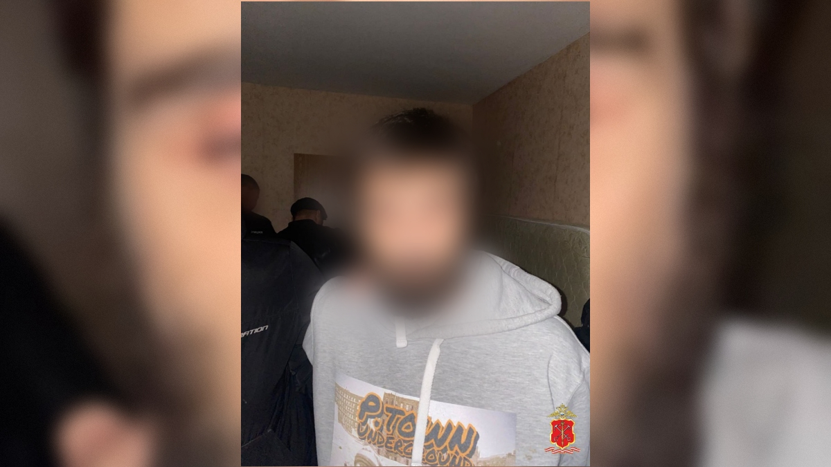 В Шушарах нашли квартиру, наполненную запрещенными культурами — наркоагроном задержан