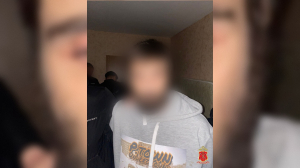 В Шушарах нашли квартиру, наполненную запрещенными культурами — наркоагроном задержан