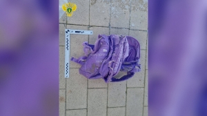 Прокуратура Москвы показала рюкзак, в котором нашли голову мальчика