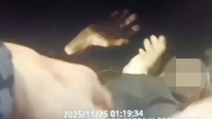 Ночные догонялки с лазурным чуть не лишили петербуржца ноги