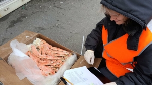 Камчатские клешни захватили пять стран мира благодаря петербургским сотрудникам Россельхознадзора