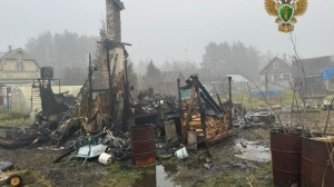 После пожара в Лужском районе нашли тела женщины и двух детей: возбуждено уголовное дело