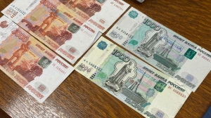 Коррупции в Петербурге в 2025 году стало на 37% больше