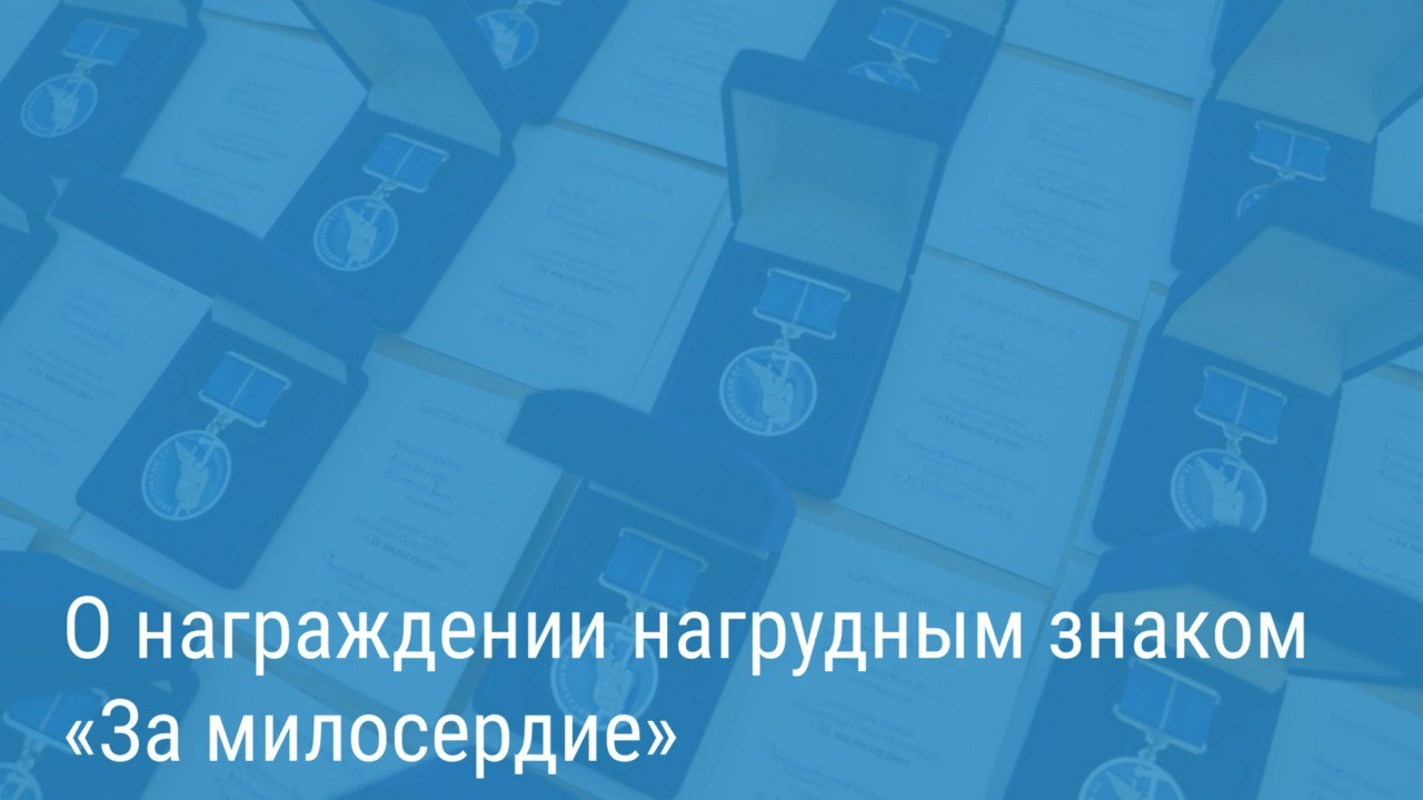 Полсотни петербуржцев представят к награде за борьбу с безнадзорностью