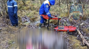 Бездыханное тело пожилой женщины нашли в лесу в Ленобласти