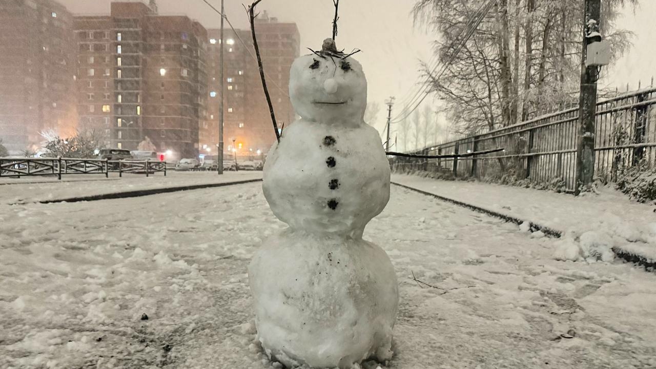 Уже хватает на снеговика: петербуржцы показали, как отметили первый снегопад