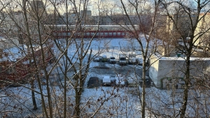 Температурный рекорд: в Ленобласти 14 марта будет плюс 15 градусов