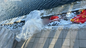 Сумку с отрезанной головой неизвестного мальчика выловили из пруда в Москве