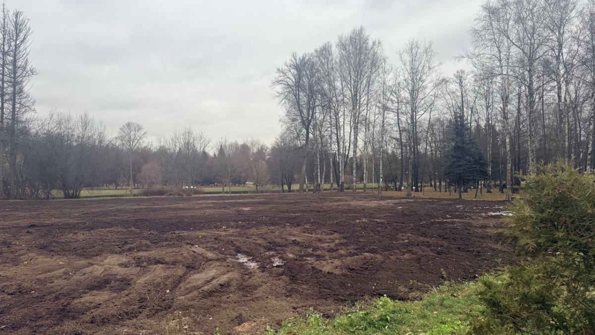 Власти Петербурга рассказали о будущем территории после сноса Sport Palace на Крестовском