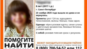 На город опустилась ночь: в Петербурге отыскали пропавшую восьмилетнюю девочку
