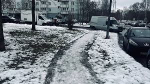 Администрация Парголово доказывает ГАТИ готовность к зиме, но у инспекции другое мнение