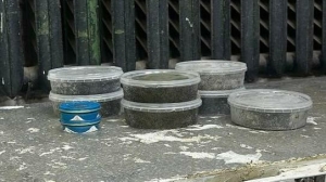 В Петербурге двое перекупщиков черной икры вымирающей рыбы отделались условкой