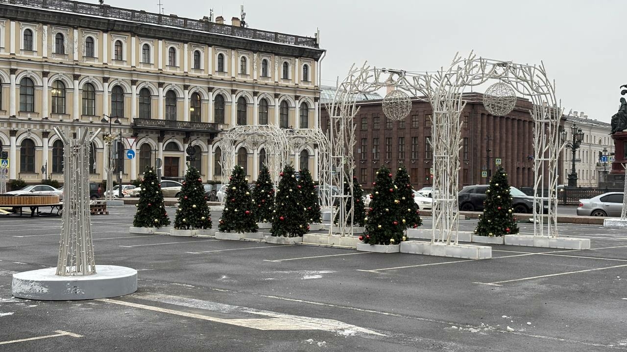 Сад с новогодними елками и сияющими арками устанавливают у Синего моста