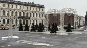 Сад с новогодними елками и сияющими арками устанавливают у Синего моста