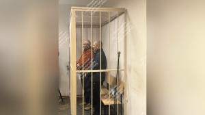 Начальник Морозовского лесничества с «товарищем» отправились в СИЗО: сколько принесли отсутствующие деревья?