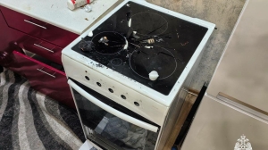 В Новосибирске собака устроила взрыв в квартире, пока хозяина не было дома