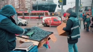 Петербургские чиновники собрали свыше 30 кг голубики у продавцов-нелегалов возле «Пионерской»