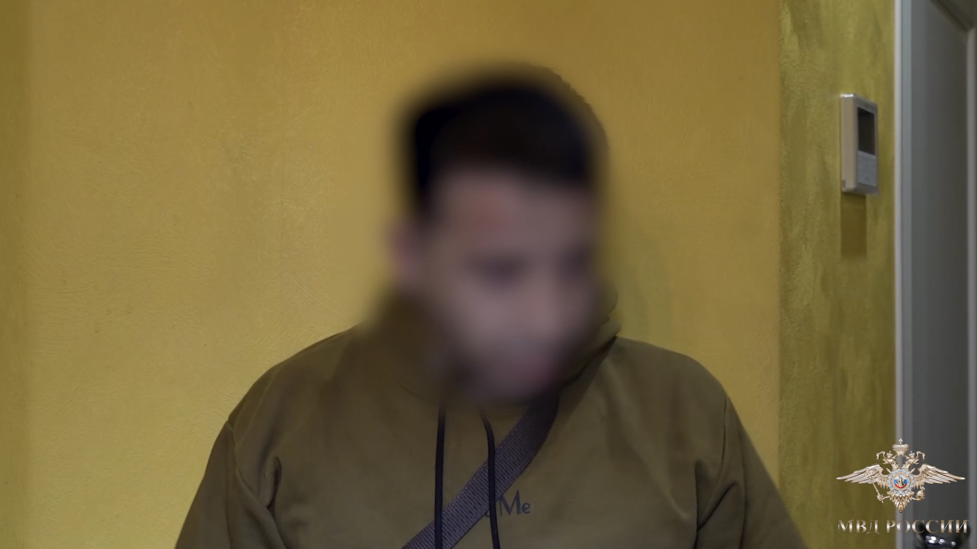 Ирина Волк: в Петербурге задержали двух мужчин за покушение на сбыт 9 кг наркотиков