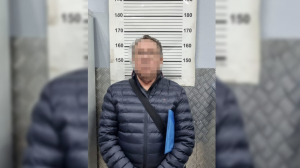 В Петербурге задержали бизнесмена из Балтии за присвоение 1 млн евро банкротящейся фирмы