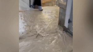 Прокуратура проводит проверку после потопа у метро «Девяткино»: видео