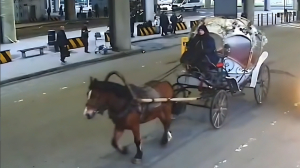 Переход Пулково на зимний тариф пересадил петербуржцев на карету