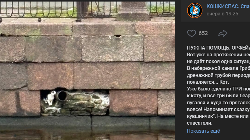 Спасатели бьют тревогу из-за застрявшего в трещине набережной канала Грибоедова усача