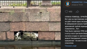 Спасатели бьют тревогу из-за застрявшего в трещине набережной канала Грибоедова усача