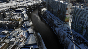 СК возбудил уголовку после смерти рыбы в загрязненной реке Охте