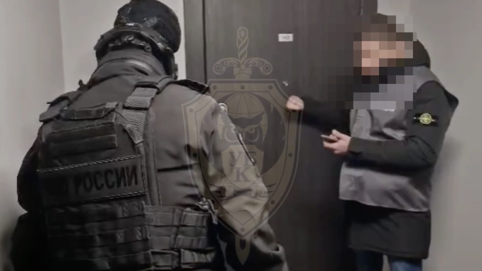 Полиция Петербурга накрыла банду педофилов, публиковавших в «даркнете» порно с малышами