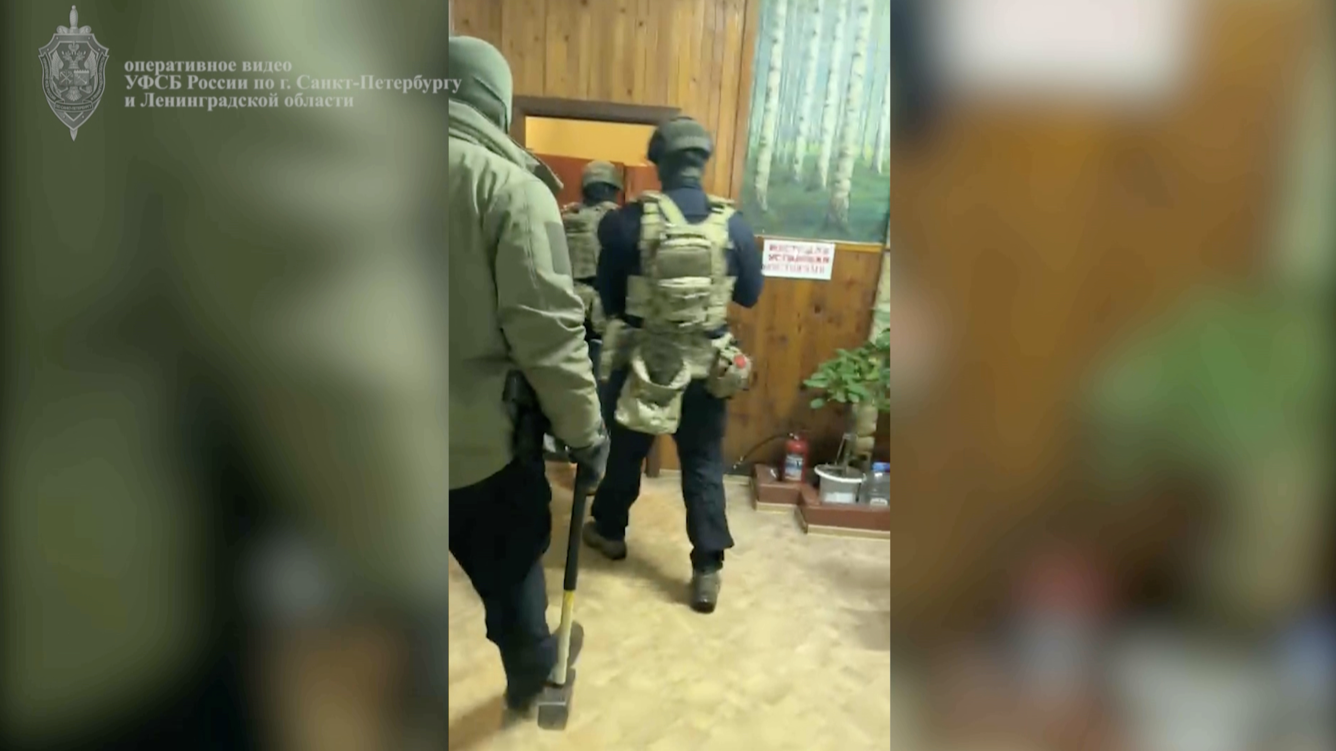 В Ленобласти задержали руководителя Морозовского лесничества за аферы на 1 млрд рублей