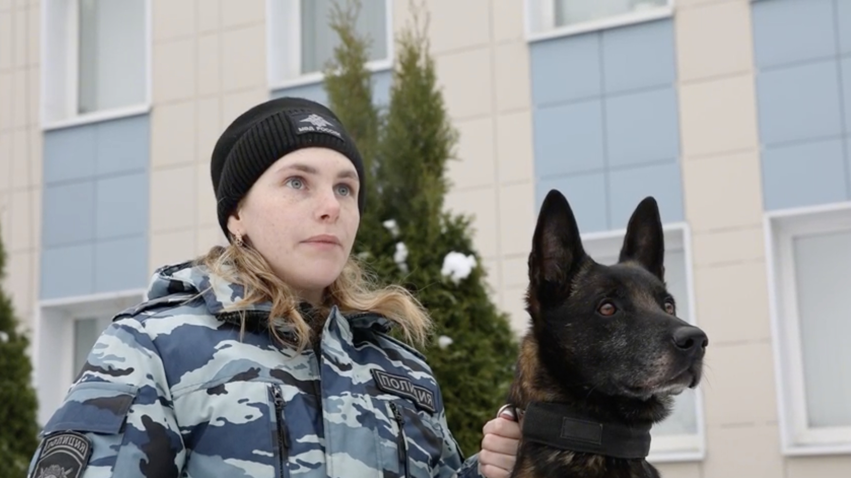 Хвостатый и усатый полицейский вывел коллег на след поджигателя вышки в Ленобласти